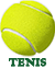 link tenis
